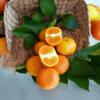 1985700165 Murcott Mandarin