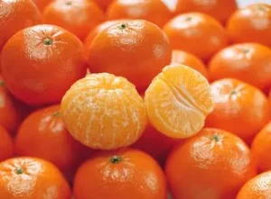 20111220__1222produce1 Mikhal Mandarin