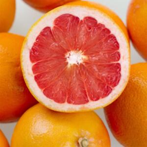 5738 Star Ruby Grapefruit