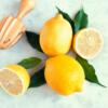 6455-960x960 Eureka Lemon