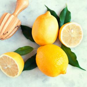 6455-960x960 Eureka Lemon