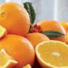 Essential-Nutrients-Make-Navel-Oranges-One-of-Natures-Most-Important-Foods Navel Orange