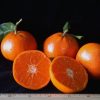 murcottmandarin150 Murcott Mandarin