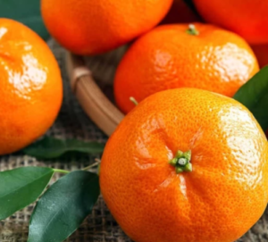wmurcott1 Murcott Mandarin